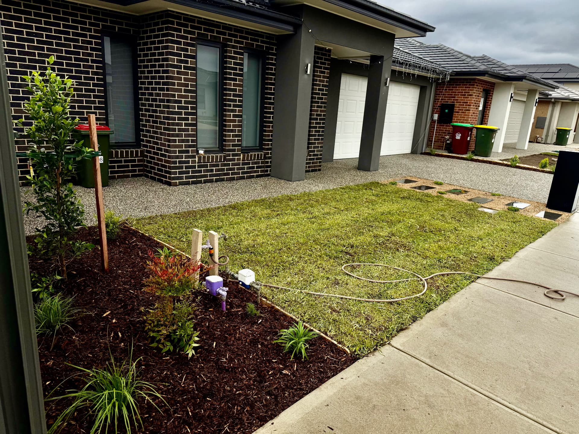 Freshly laid front lawn with mulched garden bed and feature plantings