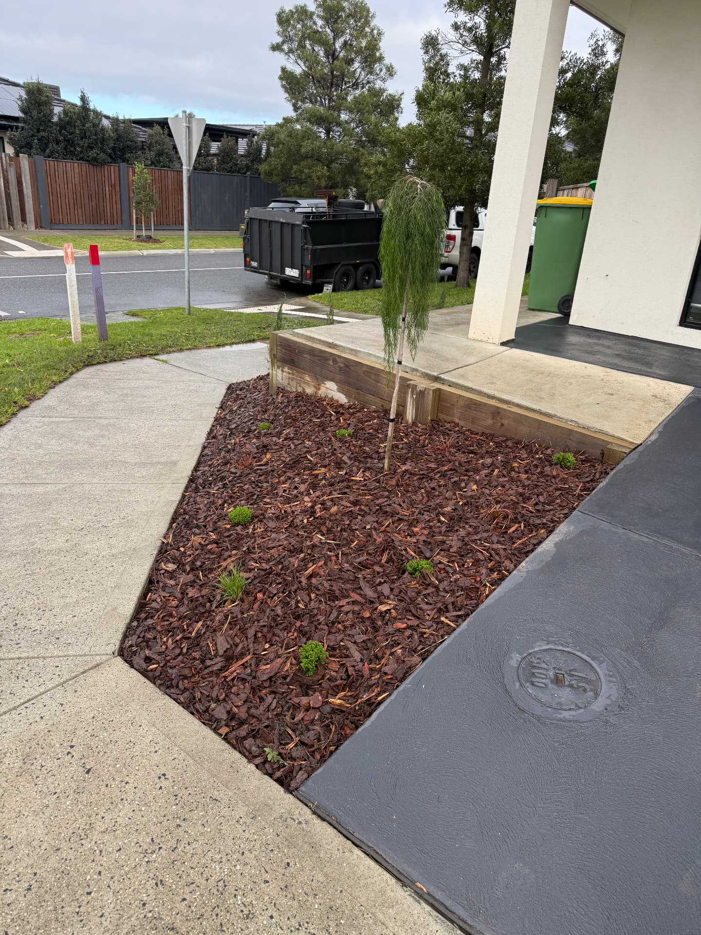 Freshly mulched garden bed with feature tree at entry