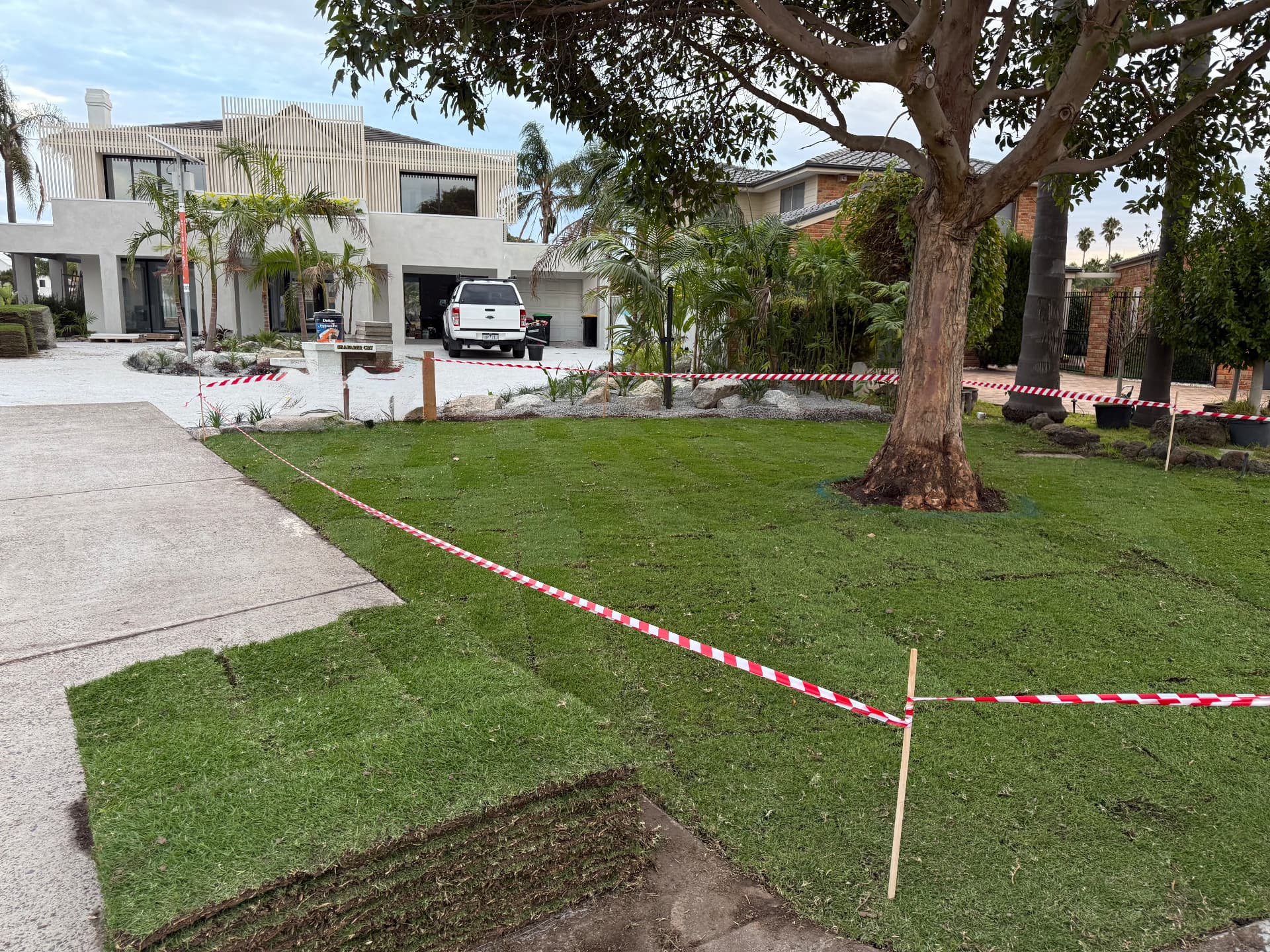Front lawn turfing project with feature tree