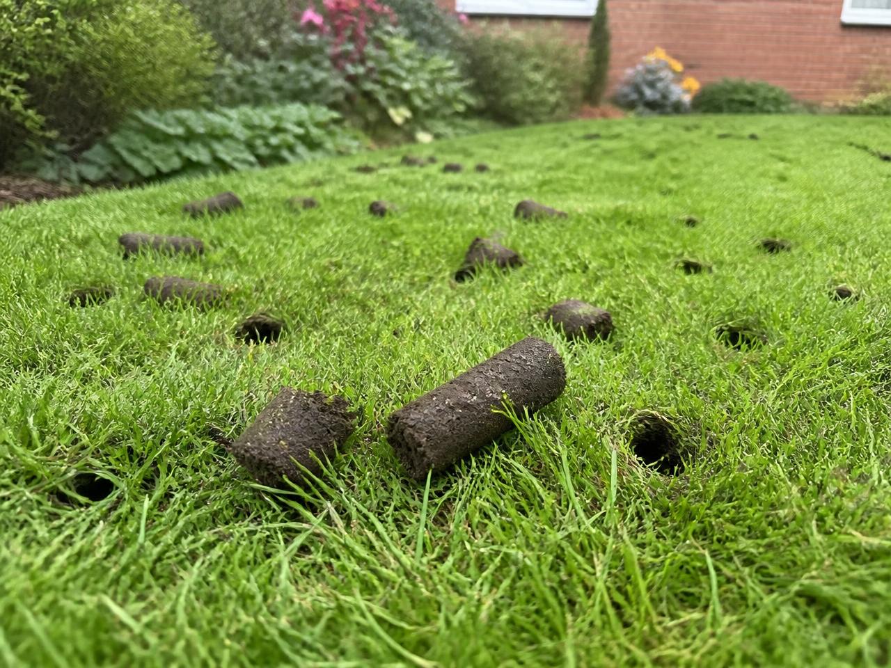 Soil core plugs on a freshly aerated green lawn